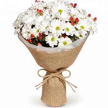 Букет цветов из:  Хризантемы #REPLACE_PRED# Куминский